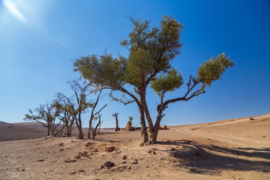 Tour image 2