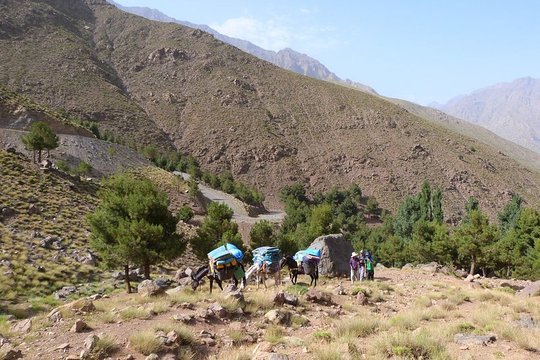 Tour image 9