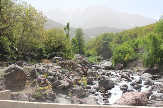 Tour image 12