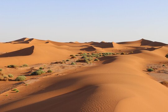 Tour image 1