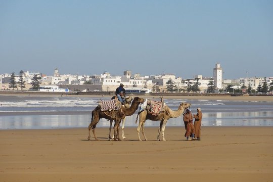 Tour image 5